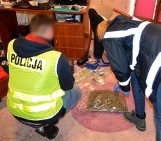 Narkotyki w sypialni i domowej siłowni. 39-latkowi ze Starogardu Gdańskiego grozi więzienie