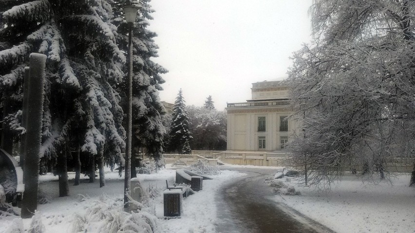 Tak wygląda zimą Park Inwalidów Wojennych przy ul....