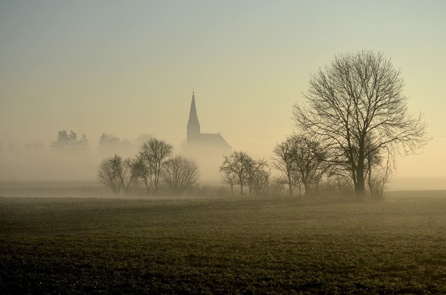 Oto  wybrane przez jury "Zdjęcie marca 2021".Zwycięskie zdjęcie przedstawia poranną mgłę w miejscowości Wudzyn