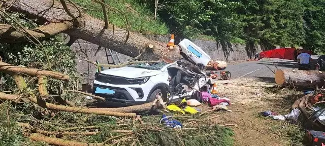 Trzy osoby zginęły po czeskiej stronie Karkonoszy. Na ich samochód spadło drzewo