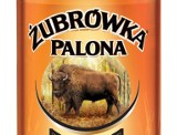 Nowa Żubrówka! Palona, leżakowana w beczkach