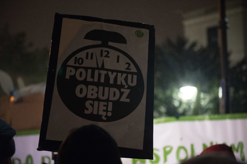 Protest przeciw odstrzałowi dzików pod Sejmem (9/01/2019)