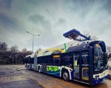 Kraków. Zmiany na linii autobusowej nr 144. Będzie nowocześnie i ekologicznie