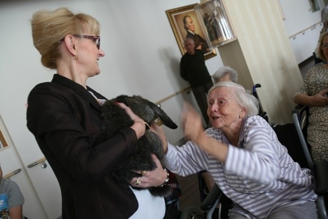 Króliki stały się bardzo szybko ulubieńcami seniorów