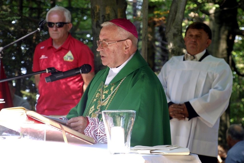 Odkryj Beskid Wyspowy. W krainie idealnych jodeł i płanetników