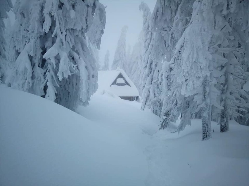 Gorce. Turbacz zasypany śniegiem. Jest pięknie [ZDJĘCIA]