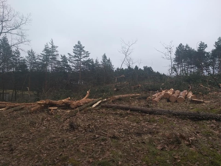 Mieszkańcy Kokotka zbierają podpisy pod petycją w sprawie...