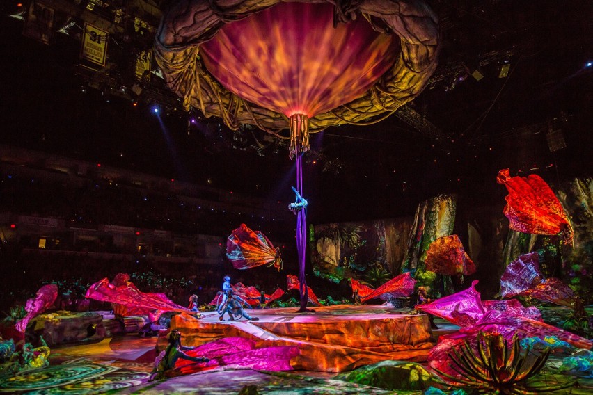 "Toruk" w wykonaniu Cirque du Soleil w krakowskiej Tauron Arenie. Zobacz zdjęcia z niezwykłego widowiska
