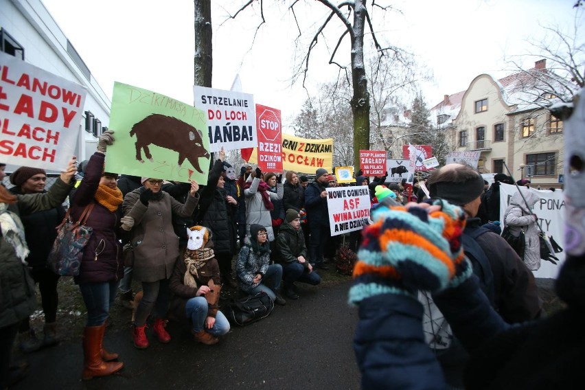 Protest przeciwko polowaniom na dziki