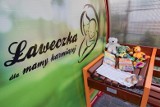 W pięciu miejscach w Toruniu pojawiły się ławki specjalnie przystosowane do potrzeb karmiących mam