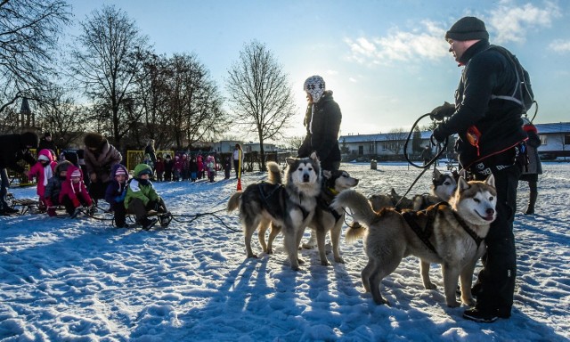 Cztery psy, sanki i mnóstwo śniegu - to przepis na udane ferie. Wczoraj maluchy z Przedszkola nr 66 odwiedziła grupa Husky- Team Bydgoszcz. Prognoza pogody na dziś. TVN Meteo Active/x-news