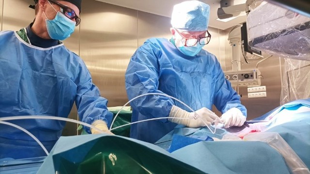 Lekarze Mazowieckiego Szpitala Specjalistycznego w Radomiu przeprowadzili pierwszy na południu Mazowsza zabieg wszczepienia bezelektrodowego stymulatora serca.