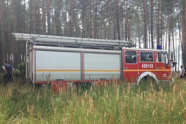 Od 1 maja na Opolszczyźnie strażacy wyjeżdżali do siedmiu pożarów lasów.