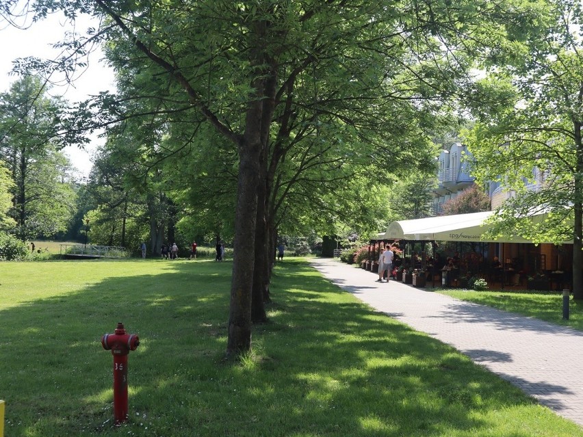 Nałęczów znów tętni życiem! Restauracje i park są pełne turystów. Zobacz zdjęcia z sobotniego spaceru 