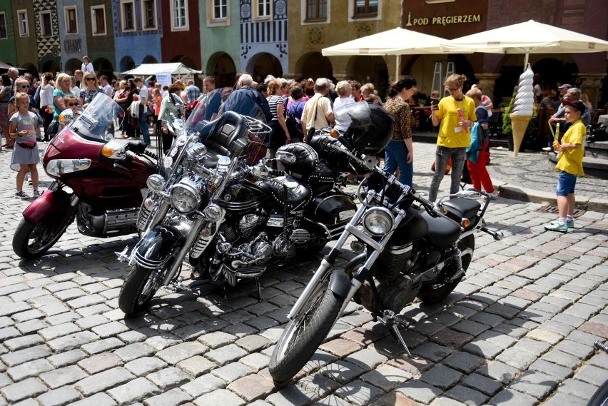 Koncert dla Hospicjum Palium: Kolorowe motyle opanowały Stary Rynek [ZDJĘCIA]