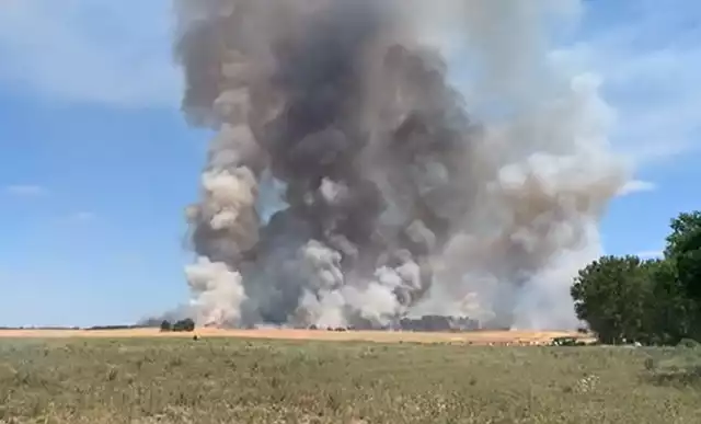 Duży pożar zboża pod Barlinkiem