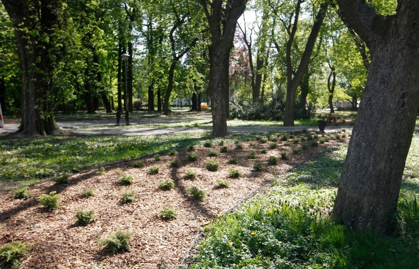 Pod park lub skwer zaplanowano przeznaczyć działkę o...