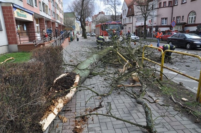 Przewrócone drzewo na ulicę w Szczecinku
