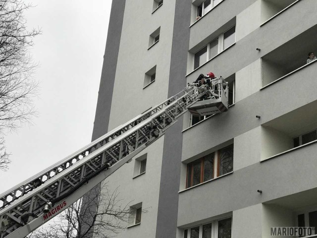 Sąsiedzi zauważyli zadymienie na klatce i wezwali pomoc zanim pożar wybuchł na dobre.