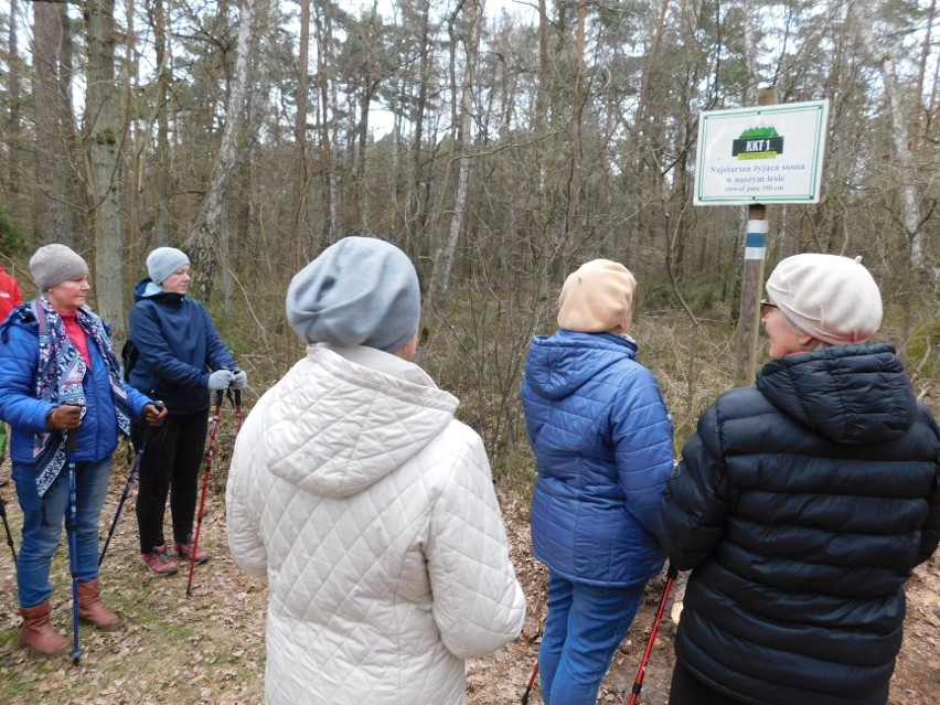 Seniorzy w Karniewie wzięli udział w II spotkaniu Nordic Walking. Przeszli 6 km