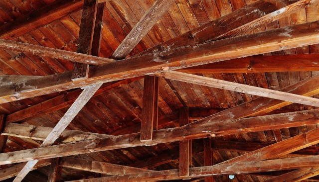 Więźba dachowa oraz inne drewniane elementy konstrukcyjne mogą stać się siedliskiem szkodników, które niszczą drewno.