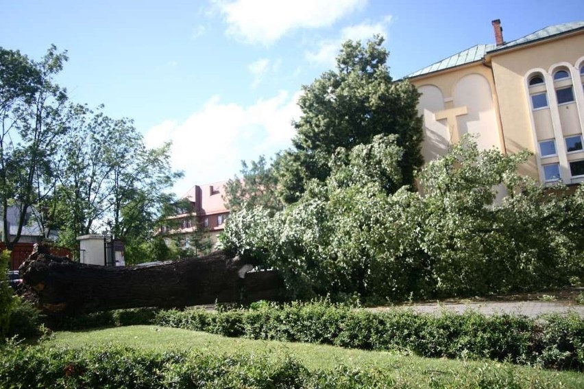 Piła: Trąba powietrzna nad miastem. Wyrywała drzewa z korzeniami! [ZDJĘCIA]