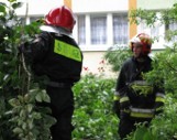 Strażacy z Koszalina ciągle usuwają skutki nawałnicy