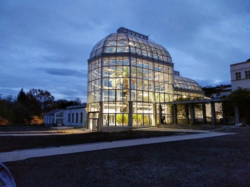 Kraków. Nowa szklarnia dla unikatowej palmy w Ogrodzie Botanicznym UJ już gotowa! [ZDJĘCIA]