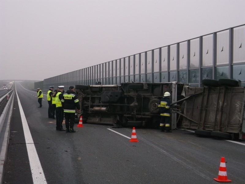 Wypadek na S8. Wywróciła się ciężarówka wioząca byki. Droga była zablokowana (ZDJĘCIA)