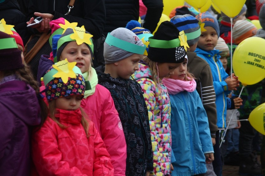 W Żorach zasadzili prawie 1000 żonkili, tworząc "Pole Nadziei" przy hospicjum