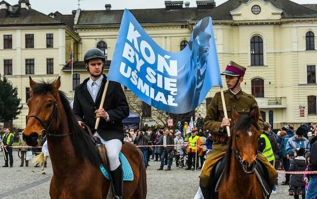 kONNA MANIFESTACJA  KODkONNA MANIFESTACJA  KOD STARY RYNEK