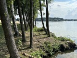 Jezioro Pławniowice – na tutejszą plażę w weekendy przybywają tłumy. Przy odrobinie szczęścia można tu zastać ciszę i spokój