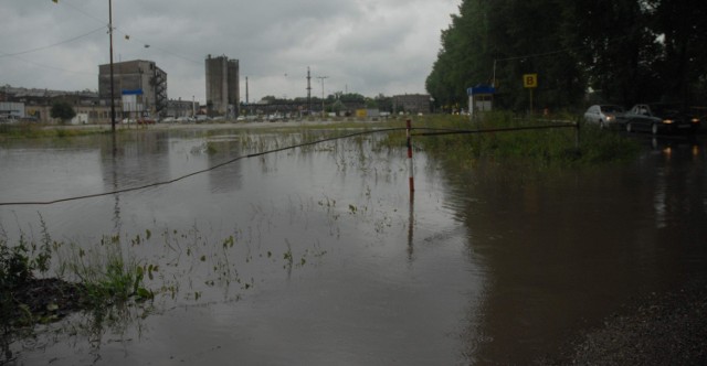 Tak wyglądał parking na Giełdzie Samochodowej w Płoni.