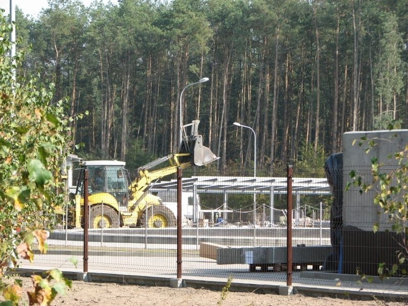 Schronisko dla ok. 180 psów miałoby powstać na tyłach...