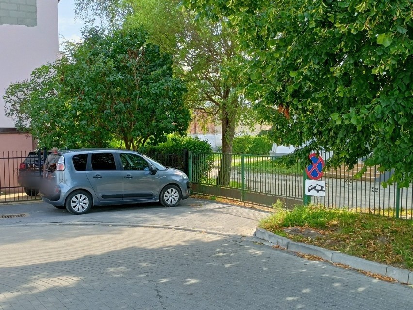 Na trawnikach, przejściach dla pieszych, na chodniku, tam,...