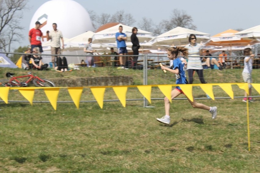 Cross Straceńców 2015. Sztafetowe Mistrzostwa Głogowa [Zdjęcia]