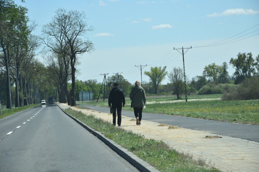 Niewielki fragment traktu, między Nakłem, a Występem, jest...