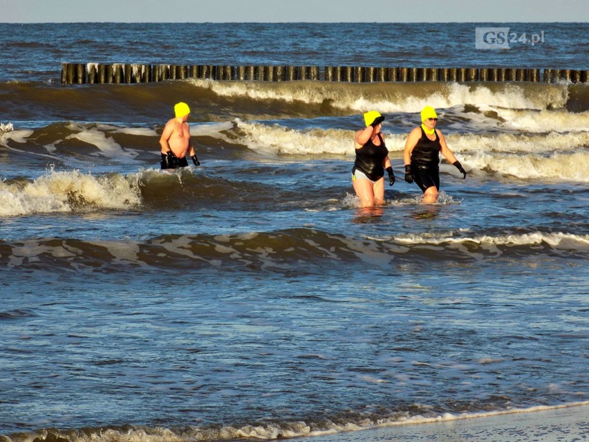 Tłumy spacerowiczów i... morsów na plaży w Dziwnówku. Zobacz zdjęcia!