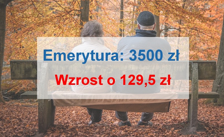 Przykładowe wyliczenia rent i emerytur przy założeniu, że...