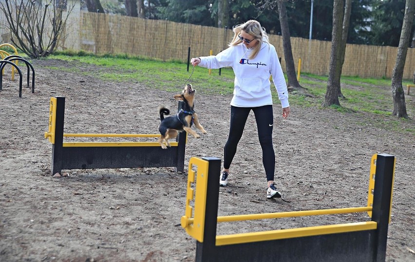 Wybiegi dla psów w różnych miastach Polski