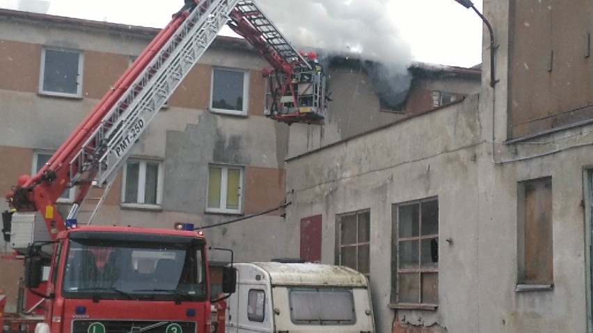 W poniedziałek przed południem koszalińscy strażacy zostali...