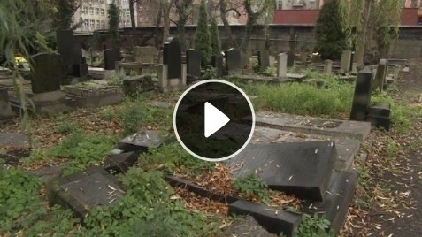 Zdewastowany cmentarz żydowski w Katowicach