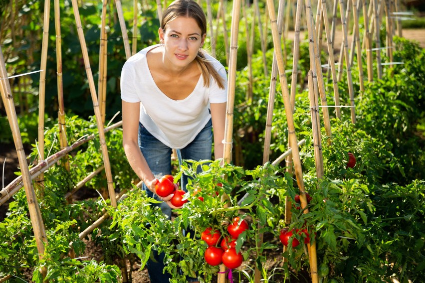 Mnóstwo ofert pracy dla młodych ludzi dotyczy ogrodnictwa....