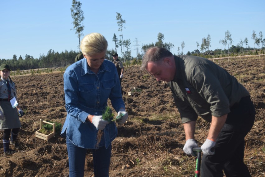 Akcja „sadziMY” z parą prezydencką. Andrzej Duda i Agata Kornhauser-Duda wzięli udział w sadzeniu lasu w Nadleśnictwie Lipusz