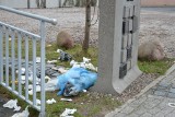 Sterta śmieci przy pomniku bytowskich Żydów (ZDJĘCIA)