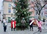 Przekaż swoją choinkę do recyklingu! Specjalne patrole zbierają drzewka w Zielonej Górze