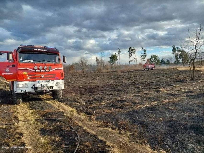 Pożar w Tarnobrzegu - Wielowsi. Spłonął bus, podkłady kolejowe i opony. W Orliskach płonęły nieużytki (ZDJĘCIA)