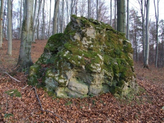 Diabelski kamień w okolicach Woli Wielkiej.