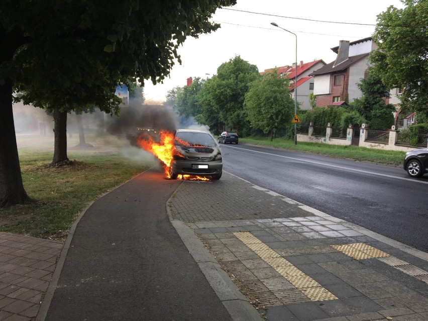 Pożar samochodu przy Stawie Brodowskim [WIDEO, ZDJĘCIA]