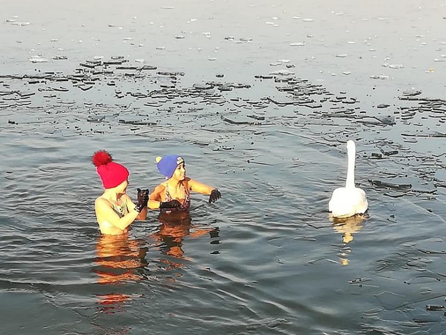 W morsowaniu wzięło udział kilkanaście osób.